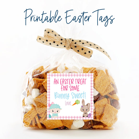 *BUNDLE* Printable (Instant Download) Blue, Orange & Pink From Some Bunny Sweet Gift Tags