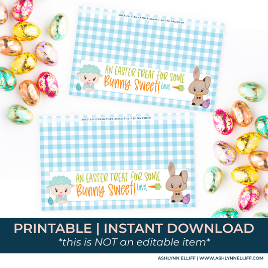 Printable (Instant Download) Blue From Some Bunny Sweet Goodie Bag Toppers