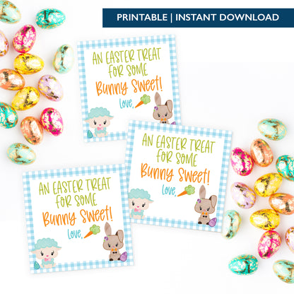 Printable (Instant Download) Blue From Some Bunny Sweet Gift Tags