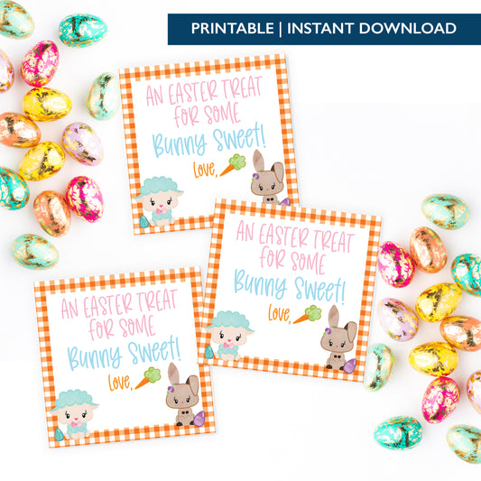 Printable (Instant Download) Orange From Some Bunny Sweet Gift Tags
