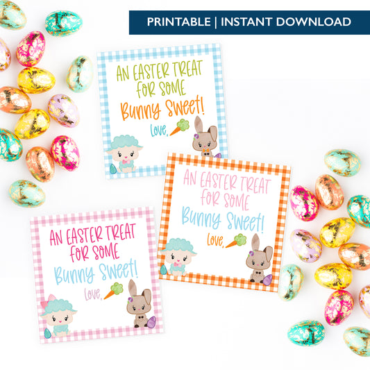 *BUNDLE* Printable (Instant Download) Blue, Orange & Pink From Some Bunny Sweet Gift Tags